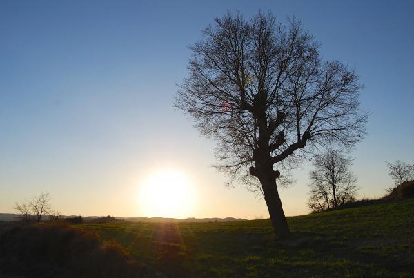 23.2.2014 Apuntant la primavera  Torà -  Pele