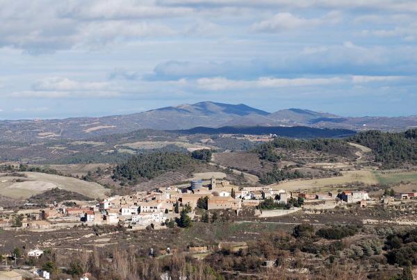 4.3.2014 Vista del poble  Ivorra -  Ramon Sunyer