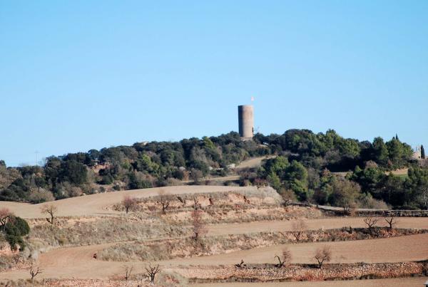 4 de Març de 2014 Torre de guaita  La Manresana -  Ramon Sunyer