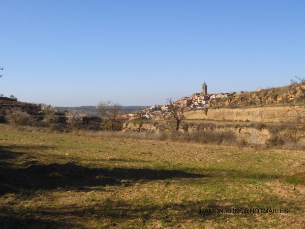 10 de Març de 2014   cervera -  ramon pons valverde