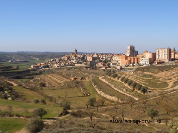 10 de Març de 2014   cervera -  ramon pons valverde