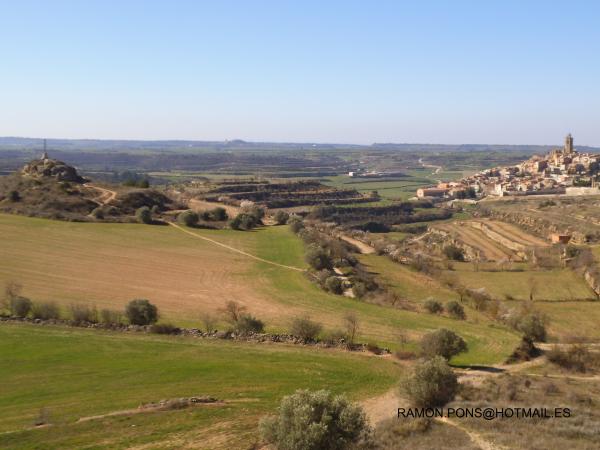 10 de Març de 2014   cervera -  ramon pons valverde