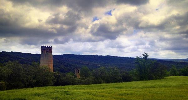 6 de Març de 2014 la torre a la primavera  Vallferosa -  Eduardo Mur