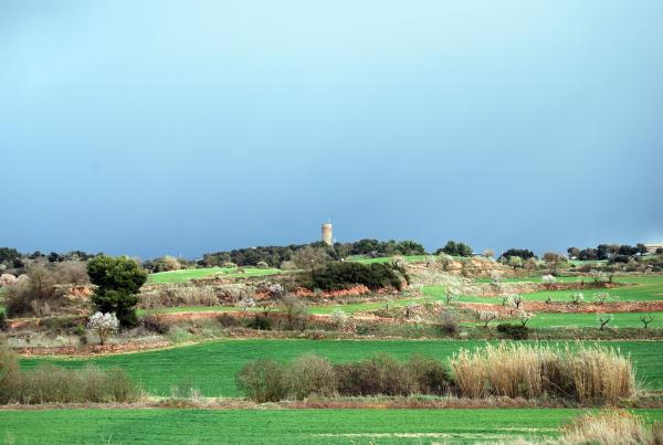 24 de Març de 2014 Envoltant la torre  La Manresana -  Ramon Sunyer