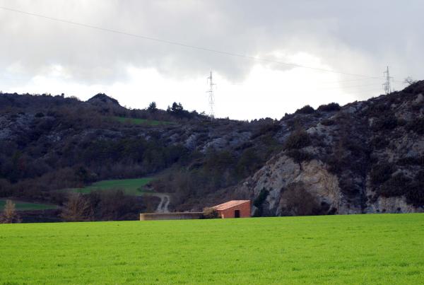 24.3.2014 Els sembrats omplen de verds la terra aspra  Vall del Llobregós -  Ramon Sunyer