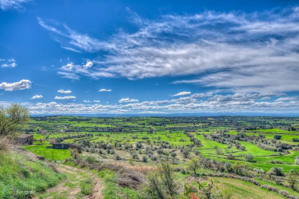 23.3.2014 Els verds dels sembrats contrasten amb el blau del cel  Florejacs -  QR Fotografia