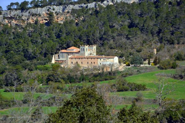 30.3.2014 Vista general  Sant Magí de la Brufaganya -  Angelina Llop