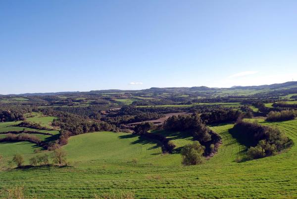 Desapareixen les Cambres Agràries Territorials - Argençola