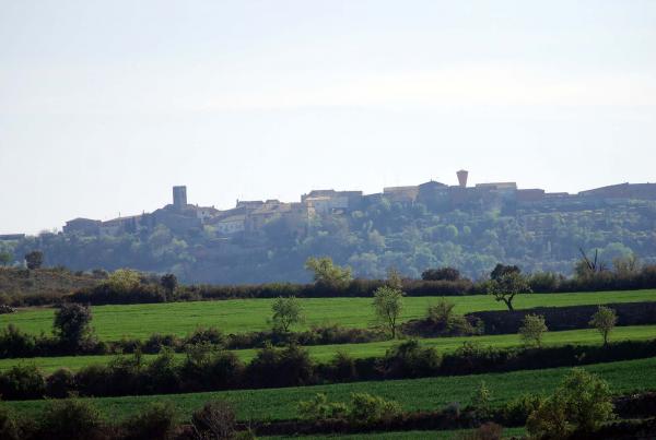 14.4.2014 Vista des dels Empalous  Vicfred -  Ramon Sunyer