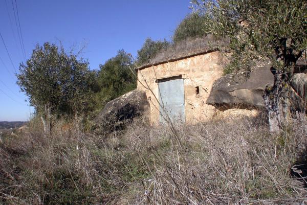 20 de Abril de 2014 Cabana de volta entre feixes d'olivers  Torà -  Ramon Sunyer