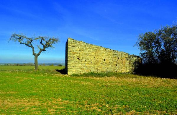 31 de Gener de 2014 cabana  Alta-riba -  Àngela Llop