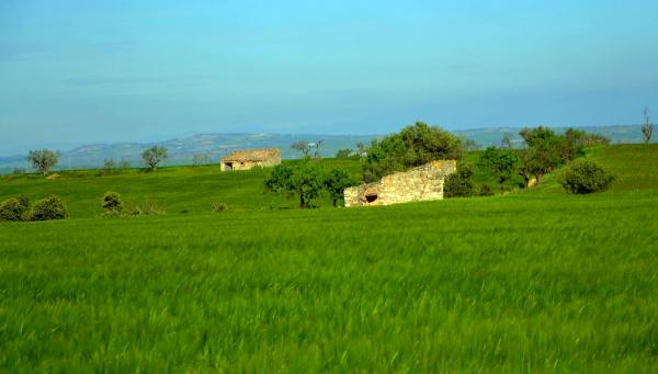 3 de Maig de 2014 cabanes  Els Plans de Sió -  Àngela Llop