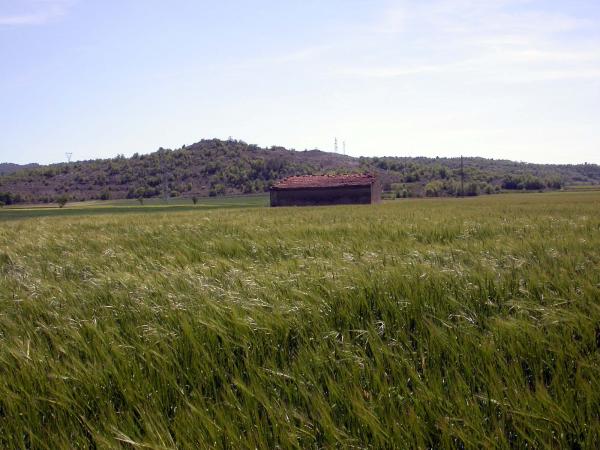 4 de Maig de 2014 cabana  Torà -  Ramon Sunyer