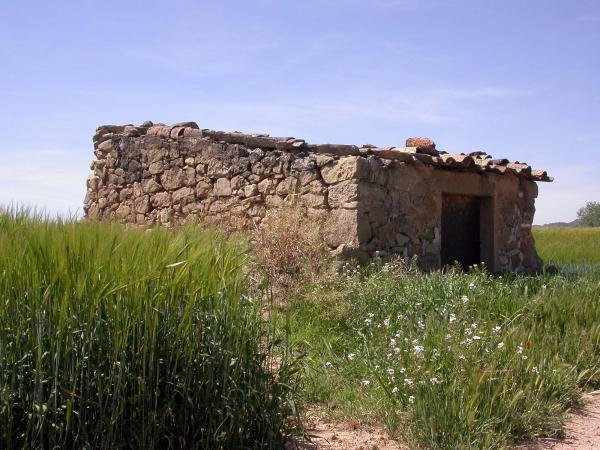 4 de Maig de 2014 cabana de teula  Torà -  Ramon Sunyer