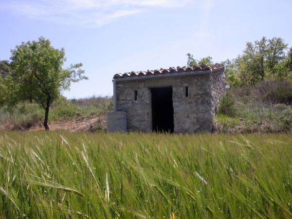 4.5.2014 cabana de teula  Torà -  Ramon Sunyer