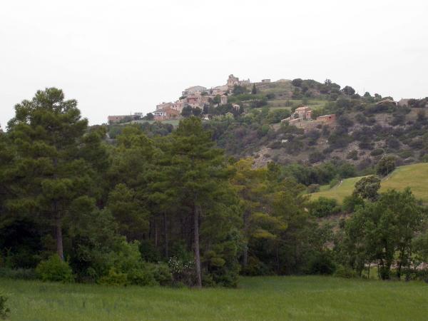 12 de Maig de 2014 Envoltat de primavera  Alta-riba -  Ramon Sunyer