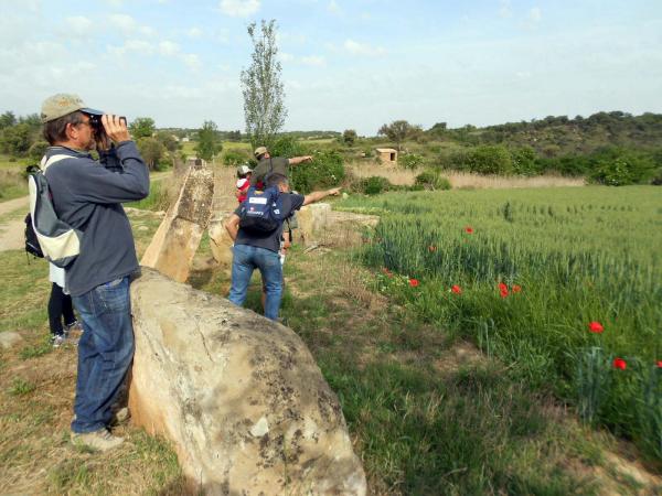 11 de Maig de 2014 Dia Mundial de les Aus Migratòries als Patamolls  Granollers -  Ajuntament TiF