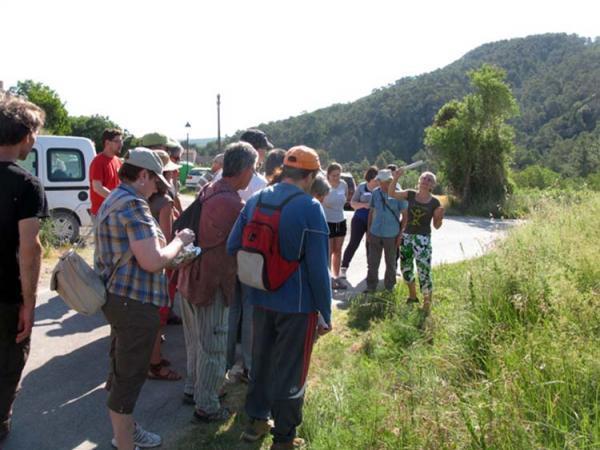 Sortida de reconeixement d'herbes remeieres - Argençola