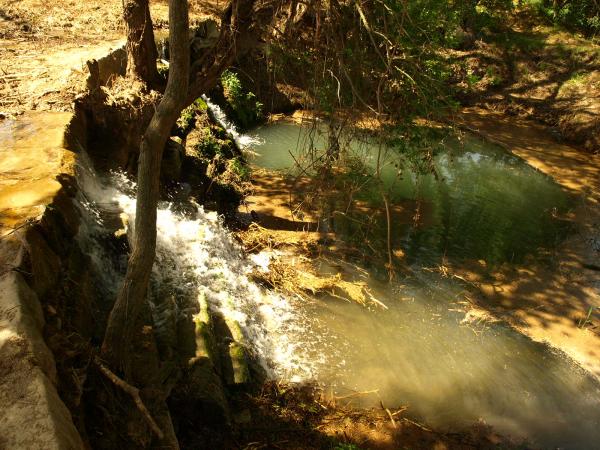 vista de la peixera de la Prenyanosa des de la bassa superior