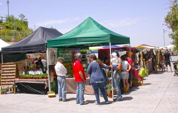 8 de Juny de 2014 Mercat de les espècies  Argençola -  Ramon Sunyer