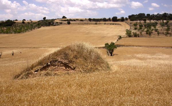 16.6.2014 cabana de volta  Les Oluges -  Ramon Sunyer