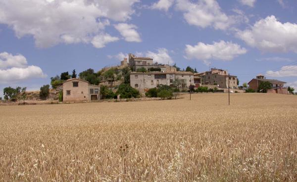 15.6.2014 Vista del poble d'Alta-riba  Alta-riba -  Ramon Sunyer