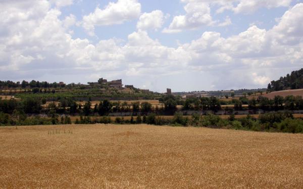 15.6.2014 Vista des d'Alta-riba  Santa Fe -  Ramon Sunyer