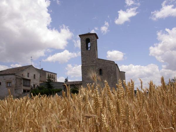 15 de Juny de 2014 església romànica de Sant Pere  Santa Fe -  Ramon Sunyer