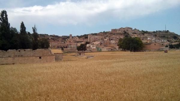 15.6.2014 Vista general  Les Oluges -  Ramon Sunyer