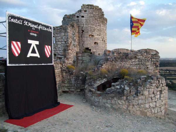 15 de Juny de 2014 V Festum Castrum  Alta-riba -  AACSMA