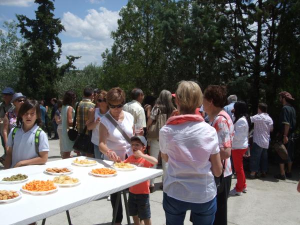 15.6.2014 V Festum Castrum - Refrigeri per tots els assistents a la festa  Alta-riba -  AACSMA