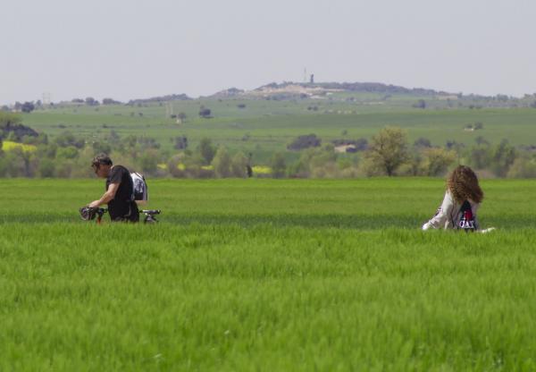 21 de Abril de 2014 Paisatge  Montcortès de Segarra -  marta maseras