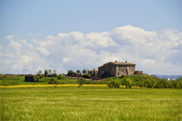 21 de Abril de 2014 Paisatge  Montcortès de Segarra -  marta maseras