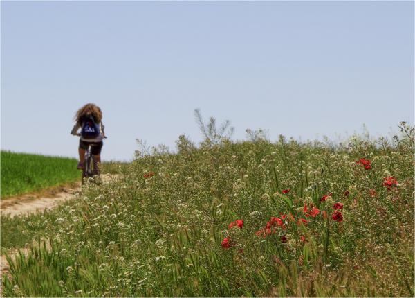 21.4.2014 Paisatge  Montcortès de Segarra -  marta maseras