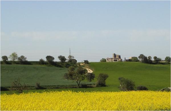 21 de Abril de 2014 Paisatge  Montcortès de Segarra -  Marta Maseras