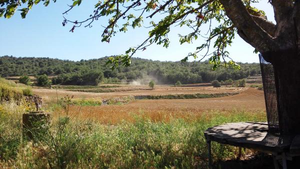 29 de Juny de 2014 cosetxant  Torà -  Ramon Sunyer