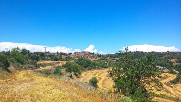 29.6.2014 Paisatge  Sant Pere des Vim -  Ramon Sunyer