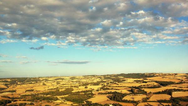 11 de Juliol de 2014 Vall d'Ondara  Talavera -  Ramon Sunyer