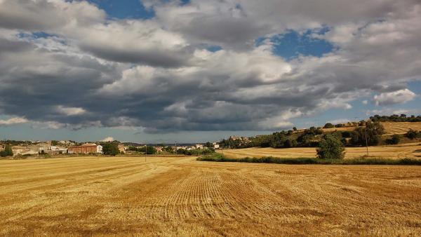 12.7.2014 vall d'Ondara  Sant Antolí i Vilanova -  Ramon Sunyer