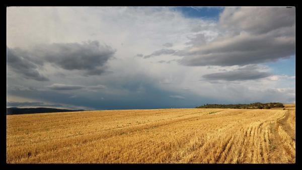 21.7.2014 el rostoll  Fontanet -  Ramon Sunyer