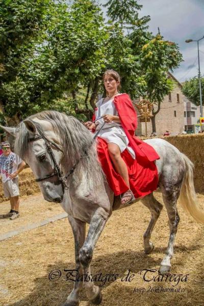 23 de Juliol de 2014 jove Cèsar  Guissona -  Paisatges de Tàrrega