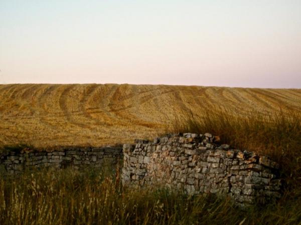 22 de Juliol de 2014 Paisatge  Santa Coloma de Queralt -  Tribus de la Segarra