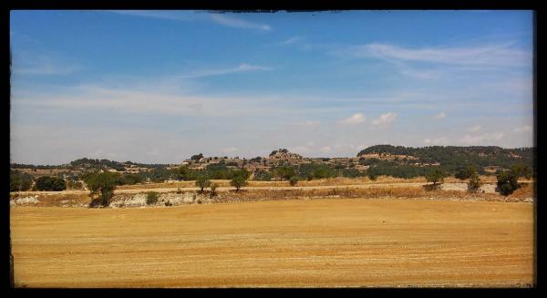 28 de Juliol de 2014 Vall d'Ondara  Palamós -  Ramon Sunyer