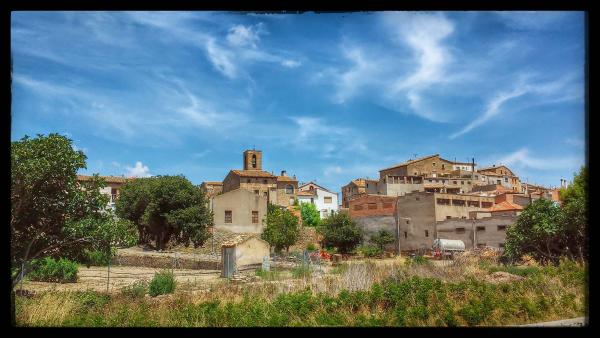 27.7.2014 El poble  Sedó -  Ramon Sunyer