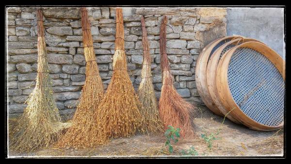 9.8.2014 escombres graneres i porgadors  Sant Antolí i Vilanova -  Ramon Sunyer