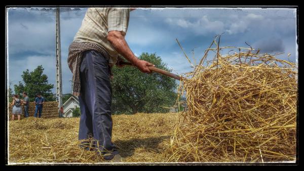 9.8.2014 ventant la palla  Sant Antolí i Vilanova -  Ramon Sunyer