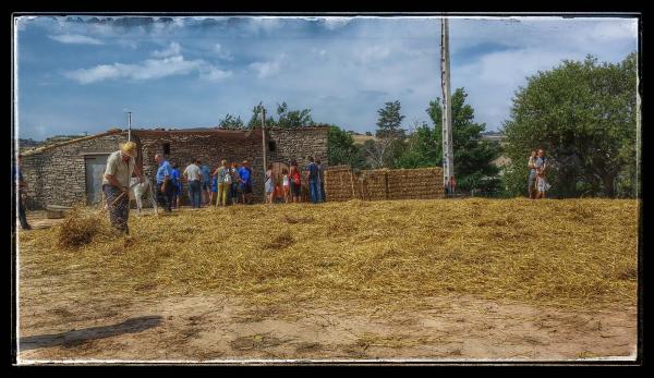 9.8.2014 ventant la palla a l'era  Sant Antolí i Vilanova -  Ramon Sunyer