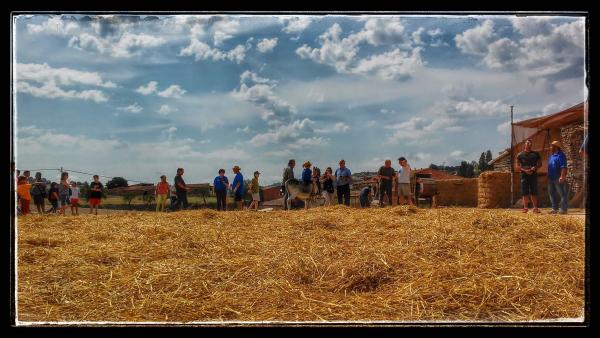 14.8.2014 l'estesa  Sant Antolí i Vilanova -  Ramon Sunyer