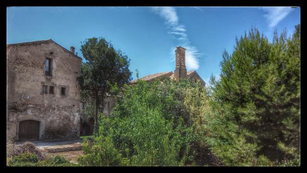 21 de Agost de 2014 Convent St Antoni  Torà -  Ramon Sunyer