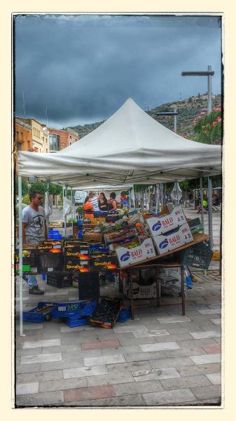 22.8.2014 Torà - Ramon Sunyer